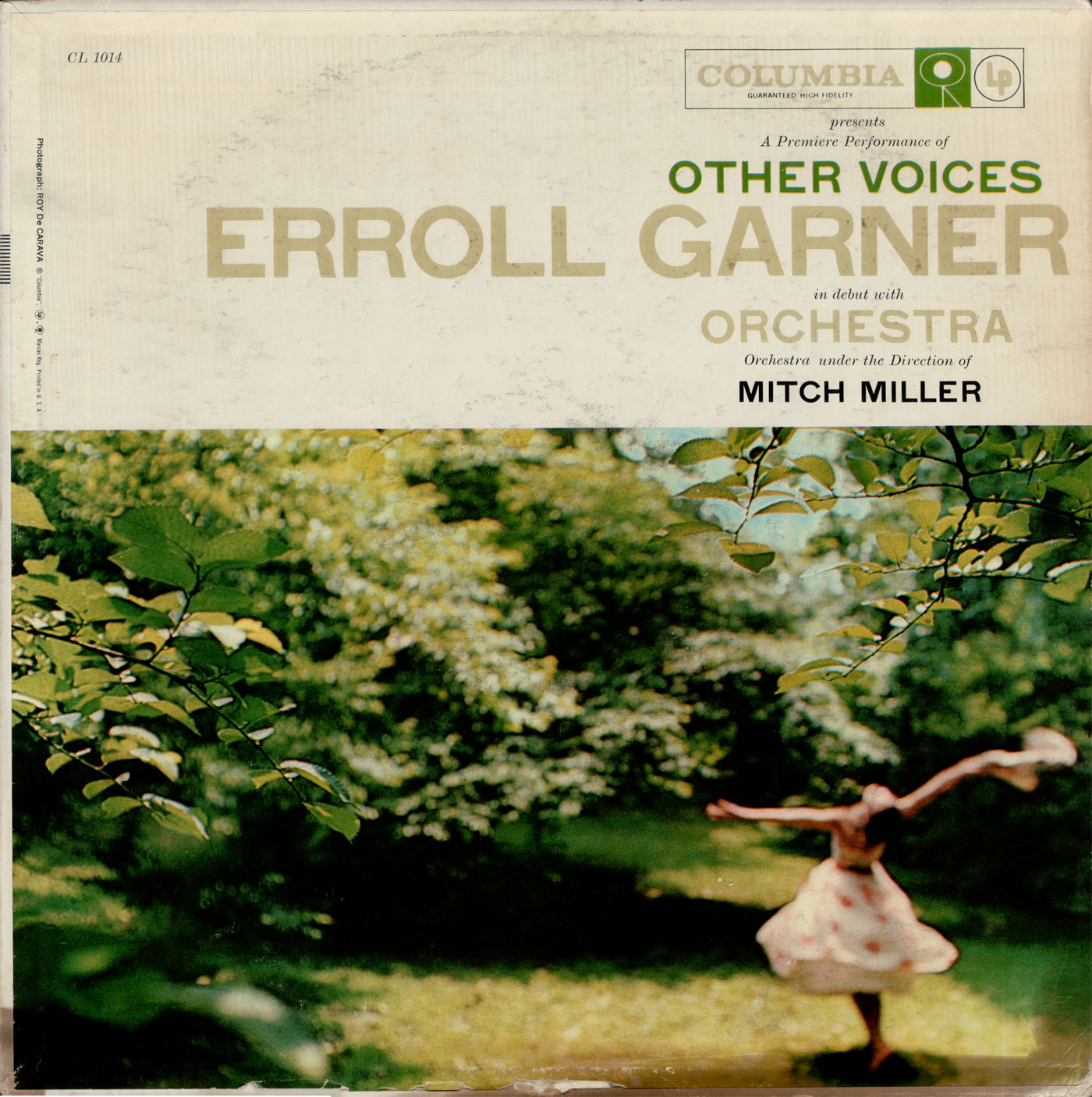 Other Voices
